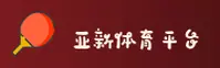 使用指南与常见问题