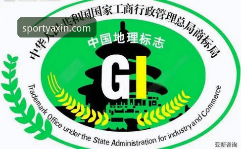 亚新注册流程安装失败解决方案详解